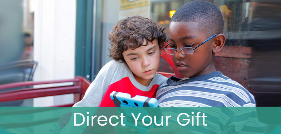 Direct Your Gift Icon 2024.png